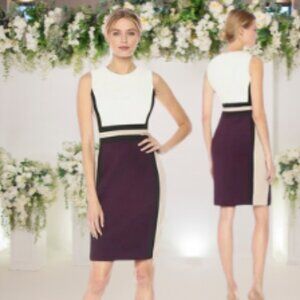 Calvin Klein Womens Sleeveless Color Block Sheath Dress